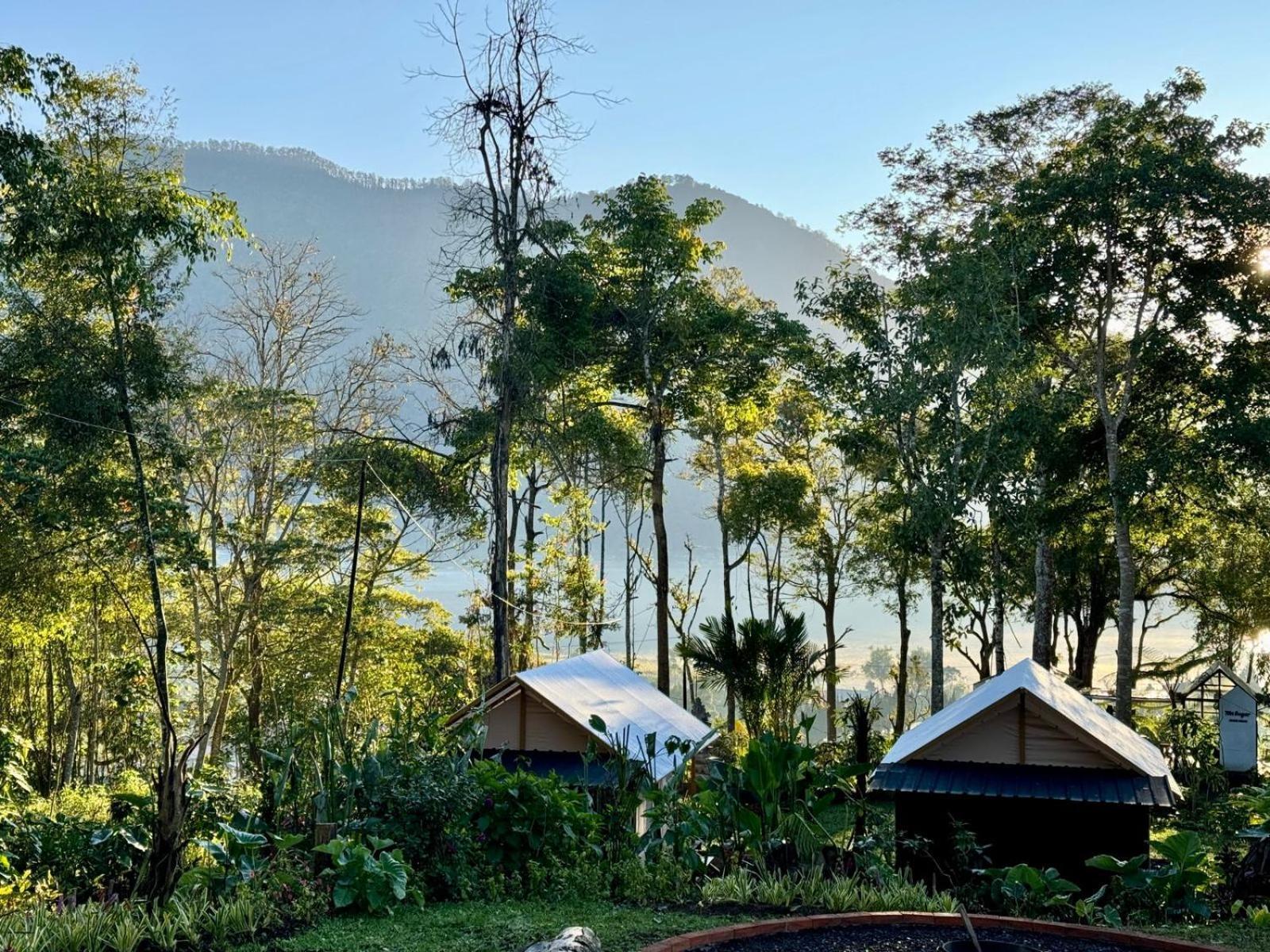 Green Lava Lake View Glamping Bedugul Bedugul  Buitenkant foto